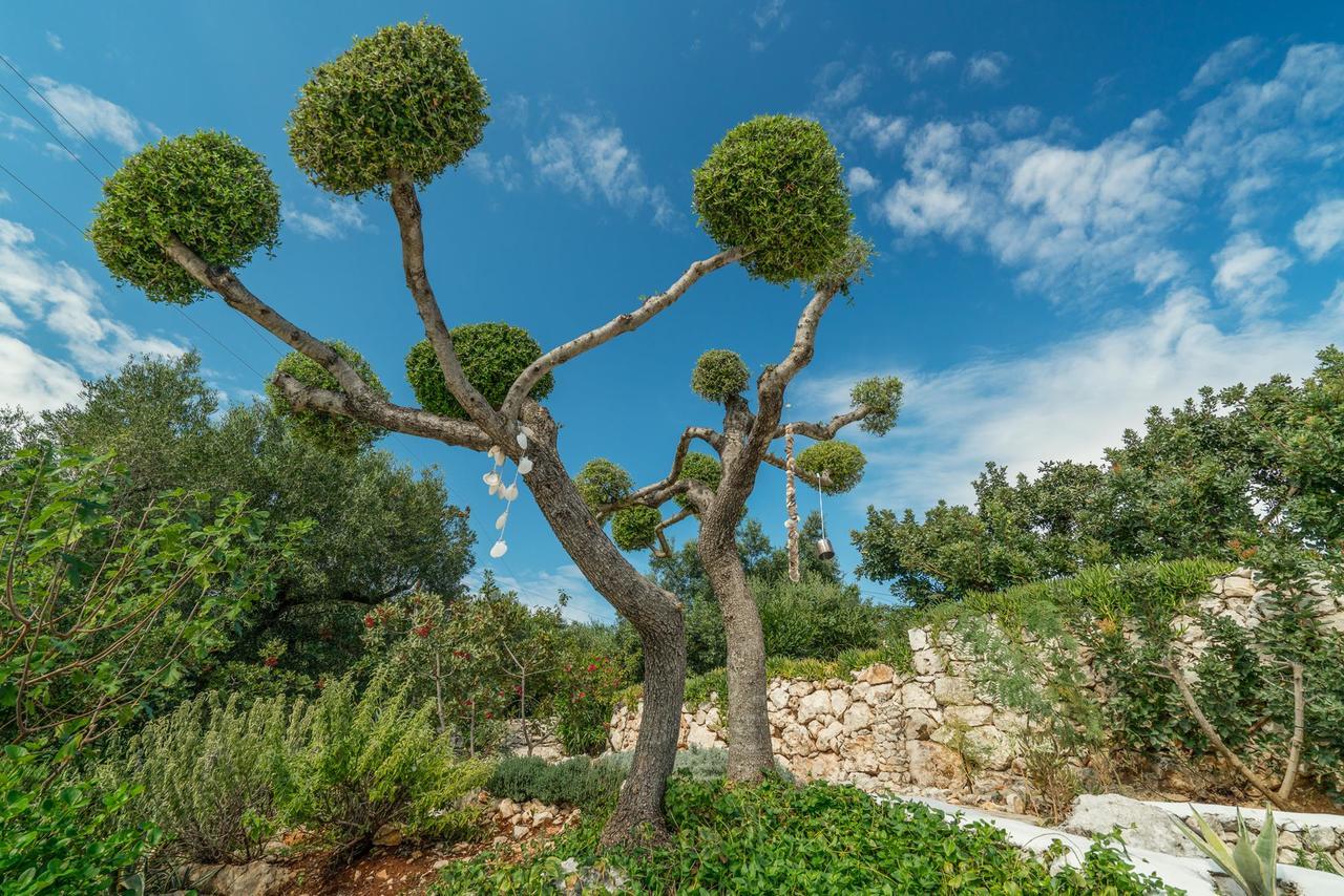 Askos Stone Villa - The Island Panorama Agios Nikolaos  Exterior foto